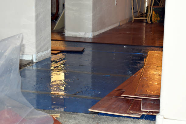 Professional Water Damage Repair technician working in Bristol, RI